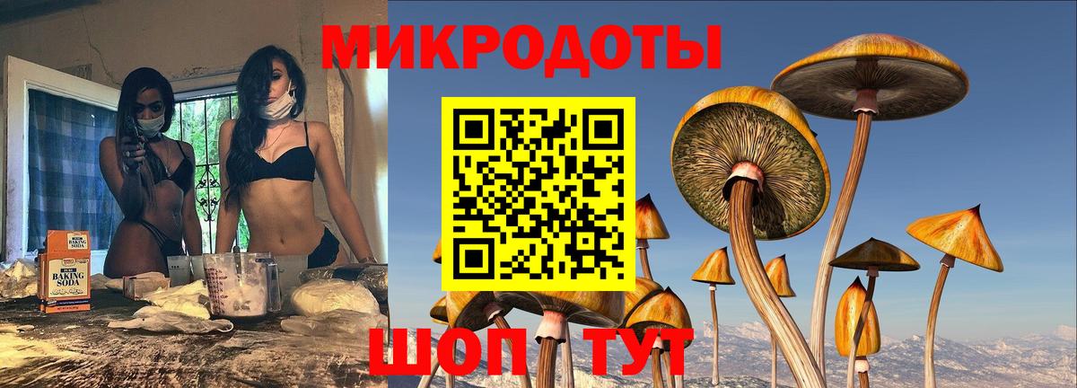 Луга  Псилоцибиновые грибы мухоморы  Вход с VPN 