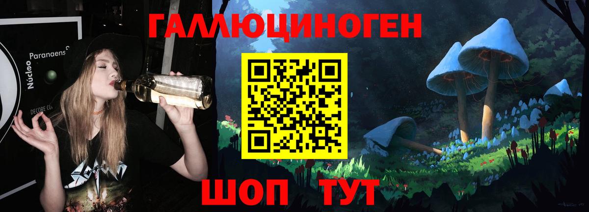 Псилоцибиновые грибы мицелий Луга